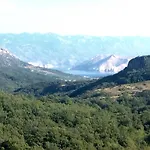 公寓 卡佩塔纳公寓 *